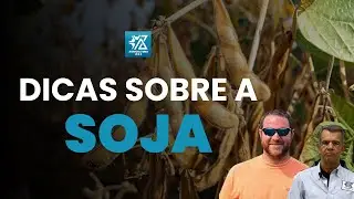 T&eacute;cnicas do Recordista Mundial de Soja Alex Harrell Reveladas pelo Prof. Alu&iacute;zio Bor&eacute;m