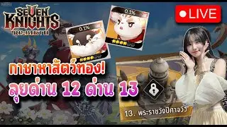 Seven Knights Re:BIRTH : กาชาหาสัตว์ทอง + ผ่านด่าน 12 ด่าน 13 กัน
