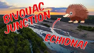 Bivouac Junction Holiday Camp