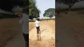 morning cricket