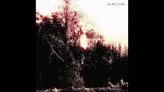 OLDROOTS