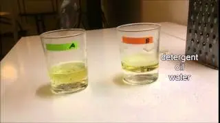 lyophobic colloid stabilization by a detergent