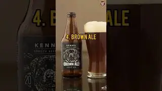TOP 5 Beer Brands In The World | Amazing World Facts
