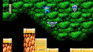 Mega Man 6: Part 3: Plant Man Stage w/ Rush Jet Adaptor