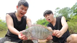 Survival skills: Primitive life, trapping fish to find tilapia - Catching fish nicely