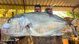 KASIMEDU 🔥 SPEED SELVAM | 32 KG GIANT WHITE TREVALLY FISH CUTTING VIDEO | FF CUTTING 🔪