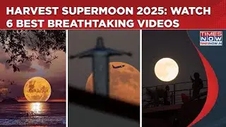 Harvest Supermoon 2025: Watch 6 Best Breathtaking Videos Of Rare Celestial Event From Across World