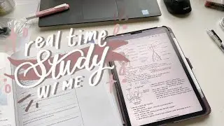 real-time study with me (no music, typing & writing asmr)