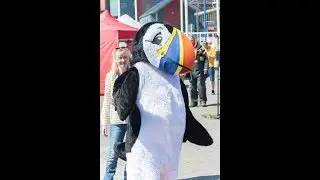 AMBLE PUFFIN FESTIVAL  May 26   28, 2018