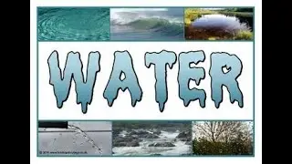 GRADE 2 | ENVIRONMENTAL SCIENCE | WATER | STATE BOARD SYLLABUS