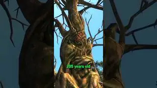 Нежелающий Бог Fallout