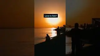Shore fishing in the dark #evening #fishing #shorefishing #fishinglife #fisherman #gonefishing