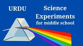 5 Easy Science Experiments for Middle School Students | Fun & Educational Projects