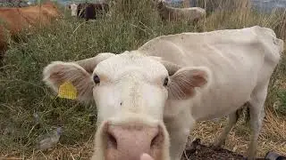 просто болтаю