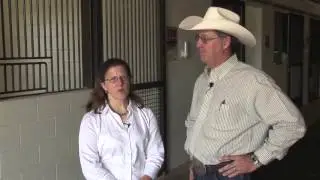 Dennis Sigler - Horse Diseases - Equine Herpes Virus