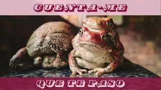 Cuenta-me (que te paso) - The Great Gabby [Frog, no drama]