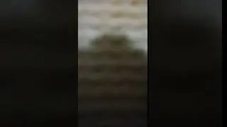 VID 20191022 212601