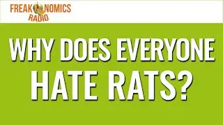 622. Why Does Everyone Hate Rats? | Freakonomics Radio