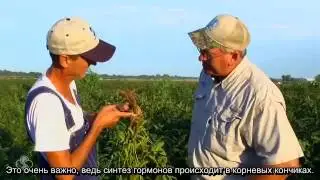 Bio - Forge  - Как это работает?