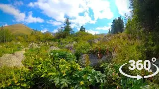 Разливанка - VR 360&deg; 5K Video - Горный Алтай