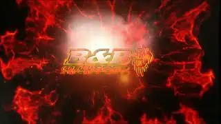 HOW TO install CRF300 RALLY radiator guard from B&B OFF-ROAD ENGINEERING