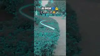 चमरान  के बरतीया ‼️#vikash_rao 💙#newsong #viralsong Chamran ke Baratiya #2025shorts