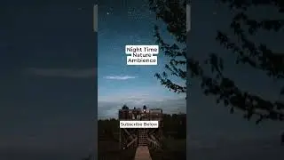 🌌 Night Sky Timelapse &ndash; Peaceful Nature Ambience & Stargazing