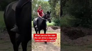 I miss riding on Duzhen #horse #equestrianjourney #horsetrack #horsefan #horsegirl