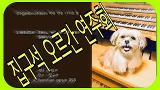 [숏핑거 집구석 오르간 연주회] Orgelb&uuml;chlein 전곡 연주 시리즈 9. BWV 634
