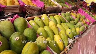 Mango festival - India celebrates the king of fruit as a cultural construct
