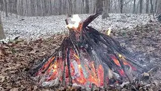 All you need is nature and a little fire. 🔥🌲#viral #viralvideo #nature #asmr #fire