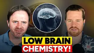 Low Brain Chemistry Explained Causes Signs and Solutions