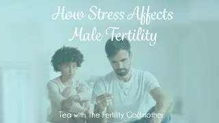 How Stress Affects Male Fertility 😰 ⬇️