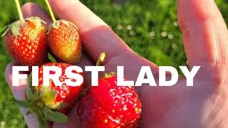 First Lady June 18, 2022 Full Episode 88