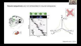 3.07 - Dimensionality reduction methods for large-scale neural data (Arthur Pellegrino)