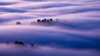 3 HOURS Miracle Sleep Music: Fall Asleep in 5 Minutes | Deep Delta Waves for Insomnia-Healing Sleep