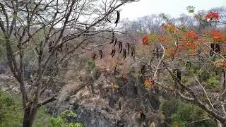cascada el meco 2021