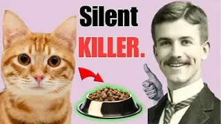 Everything You Know About Cat Food is a Lie.