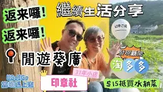 日常生活篇 返港後哥哥失踪了 閒遊葵廣 31年印章小店 發現新開淘多多 $15大大盒水耕菜