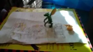 My quick stop motion Pokemon pokevid