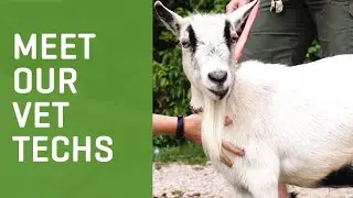 Celebrating our VET TECHS