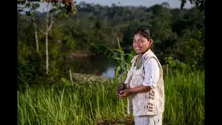 Community forest management