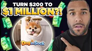 🔥 Is This The Next MILLIONAIRE MAKER Meme Coin? (Must See!)
