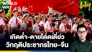'จีน' แจกเงิน-เก็บภาษีถุงยางฯ-ถามรอบเดือน กู้วิกฤติเกิดต่ำ 'ไทย' หวั่นผู้สูงอายุตายโดดเดี่ยว
