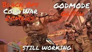 Cold War Zombie Glitches: SOLO & TEAM GODMODE GLITCH - BOCW Glitches 1.11 *PATCHED*