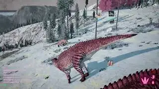 Triple giga vs Shants.....our dibble died :(