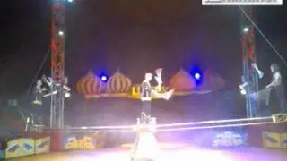 Roll up! Behind the scenes at the circus
