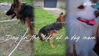 My Dog’s First ASMR | ♡Home Spa Experience🥰❤️🐶💆‍♂️🧖‍♂️