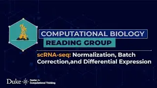 scRNA-seq: Normalization, Batch Correction, and Differential Expression