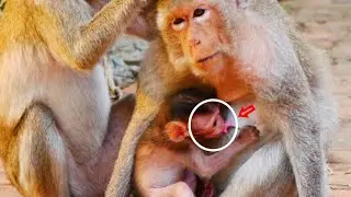Be careful Baby EmilO.